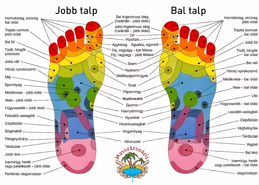 reflexológiás talpmasszázs